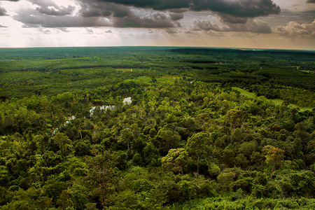 从泰国BuengKhan的PhuSing一侧的美丽景色望着一片热带树木的森林背景图片