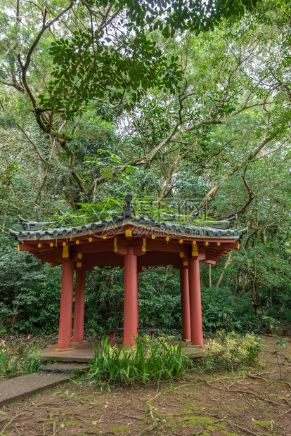 在佛教寺庙拜约多的花园里图片