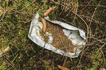 碗在森林污染和环境概念图片
