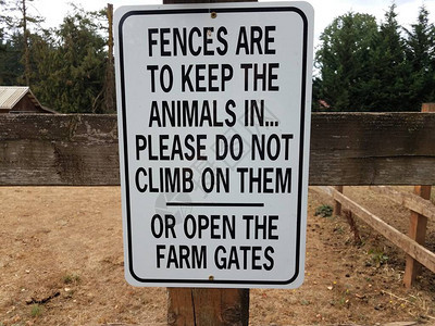 栅栏应使动物留在围栏内图片