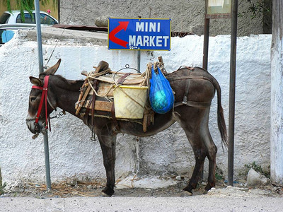 希腊克里特岛上的驴子迷你超市图片
