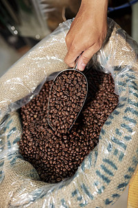 男子用勺子从工厂生产的咖啡袋中取出新鲜烘焙咖啡豆进背景图片