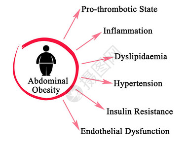 腹型肥胖的六大危害图片