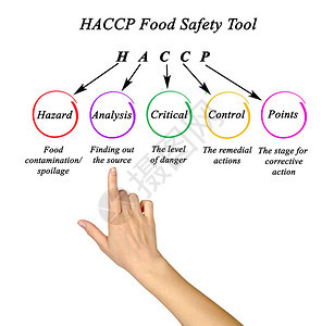 HACCP食品安全工具的组成部分背景图片