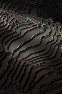 日出时抽象阴影和水稻梯田层对圆阳大米背景图片