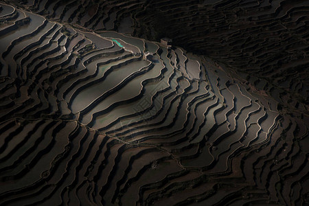 日出时抽象阴影和水稻梯田层对圆阳大米背景图片