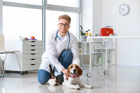 兽医与可爱的狗在诊所图片