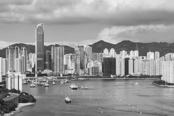 香港城市天际线和港口全景图片