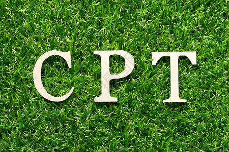 绿色草本上用CPT按付运费的简化字写图片