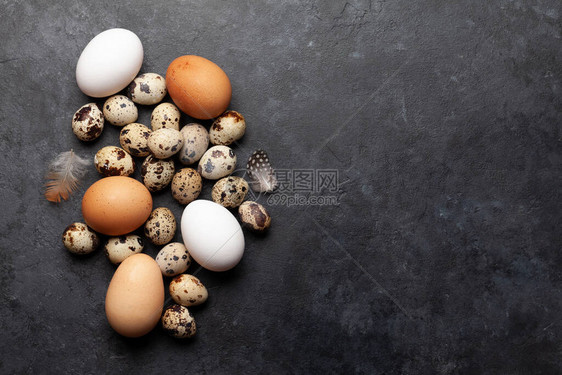白色棕色和子蛋在石头背景上顶视图图片