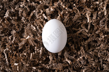 将一只白鸡蛋放在鸟巢中间用于投资退图片