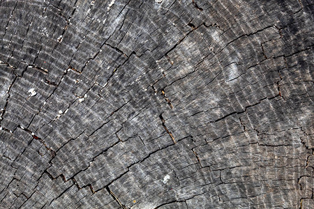灰色旧风化开裂的木材纹理图片