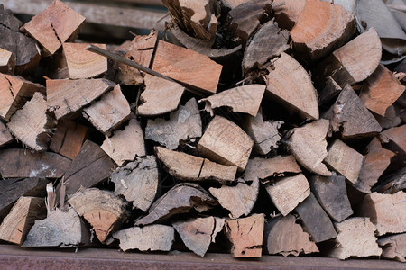 木原的背景年轮堆木头森林砍伐主题木业切碎的木图片