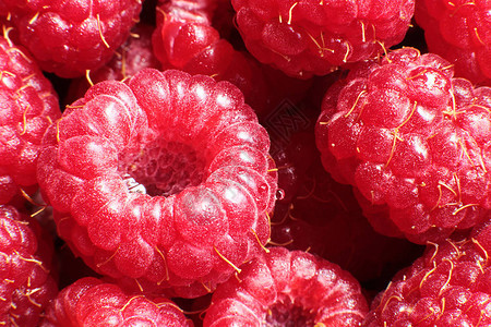 多汁成熟的红莓覆盆子宏观背景图片