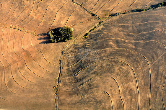 看起来像马赛克的犁地的轮廓图案的空中拍摄南非西图片
