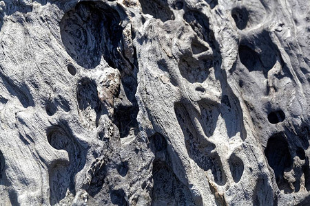一块风化的灰色变质岩的表面图片