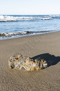 在被海洋带回海岸的孤单海滩沙上紧闭着一个用过的塑料瓶上面图片