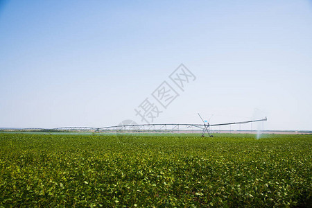 农耕地貌林区自动灌溉喷洒器系背景图片