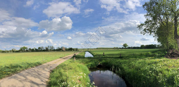 荷兰奥贝西岛农田的全景Pan图片
