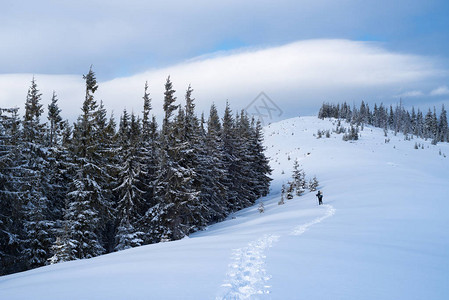 冬季登山旅游者沿雪道行走风景图片