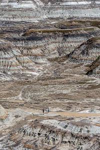 春末马蹄峡谷夏季加拿大荒地加拿大艾伯塔省德图片