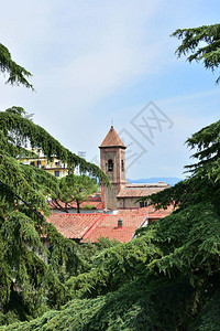 皮萨意大利对这座城市的建筑房屋顶图片
