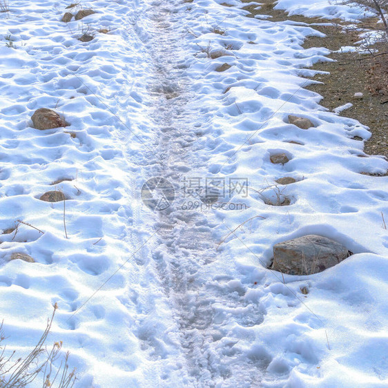 雪上方形的广场轨迹覆盖了冬季普罗沃峡谷犹他州一座山的地形图片