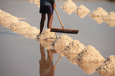 一名盐场工人在柬埔寨贡布省收获盐图片