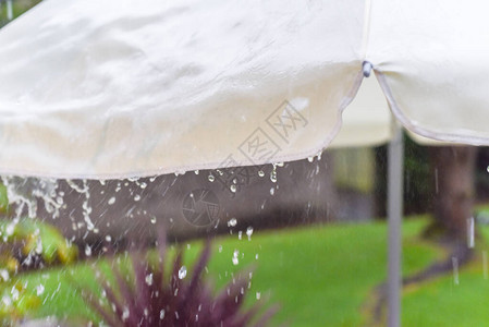 降雨期间大雨从花园雨伞中溅出图片