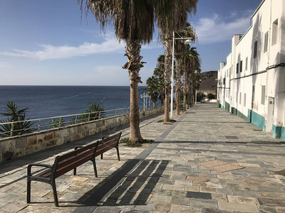 在拉斯帕尔马斯大加那利群岛通向公堂的大道上图片