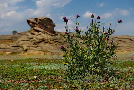 东哈萨克斯坦巴亚努尔山自然公园古代遗迹背景图片