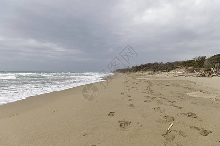 欧洲意大利的海滩背景图片