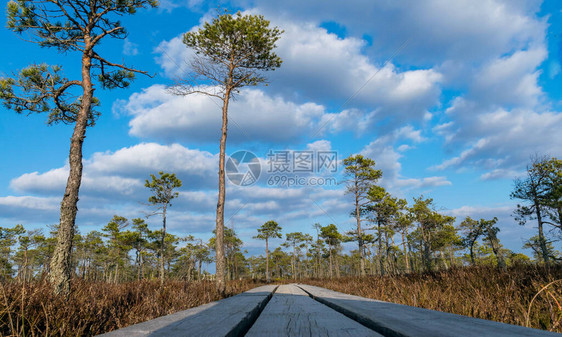 Moorland走小路图片