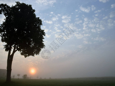 雾中清晨神秘的模糊与太阳模糊图片