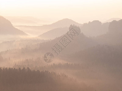 在温暖的早晨阳光下自然野生自然景观黎明时分的完美自然柔和的图片