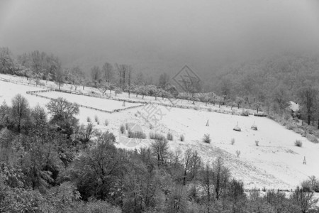 雪中的喀尔巴阡山脉成堆的雪中的树木多雾路段动物围图片