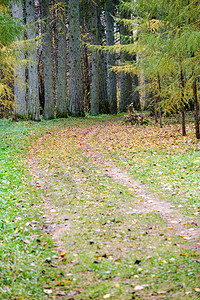 秋天的乡下道路有彩图片