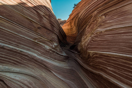 乌萨州PariahCanyon的著名地质图片