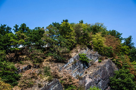 绿树成荫的山景图片