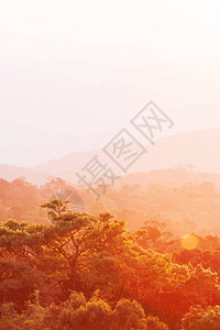 日出时的热带森林景观DoiInthanon公园图片