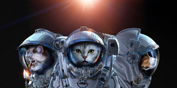 宇航员穿太空服的宠物这种图像的部分由美图片