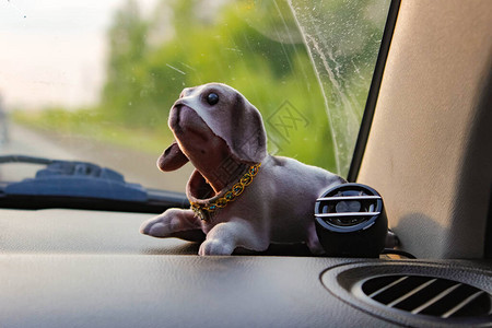 车内挡风玻璃附近的前板上的玩具狗背景图片