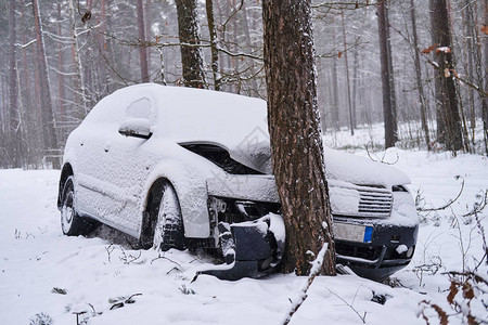 在雪林滑道路失去控制后图片