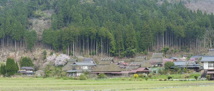日本京都Miyama村农字形景观全景图片