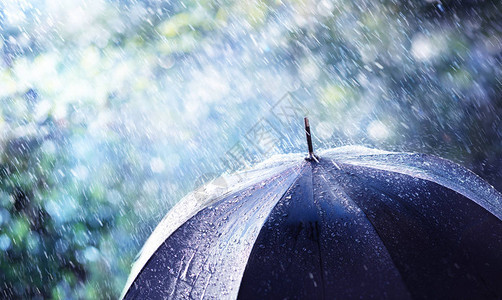 黑色伞状雨风天气概念图片