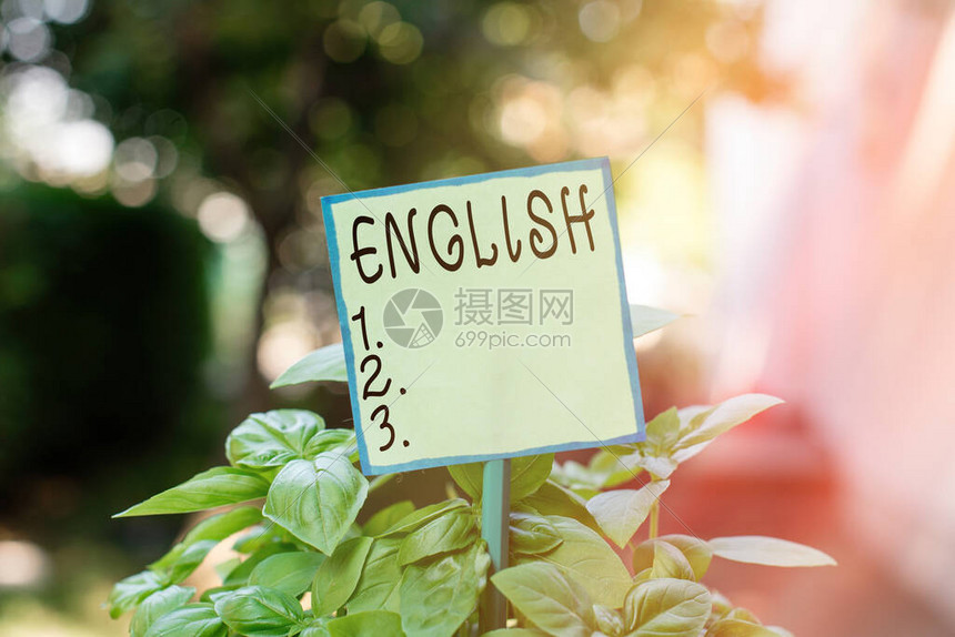概念手写显示英语概念意味着之间可能的交流是唯一的共同语言普通高清图片下载-正版图片503832387-摄图网