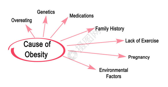 肥胖的七大原因图片