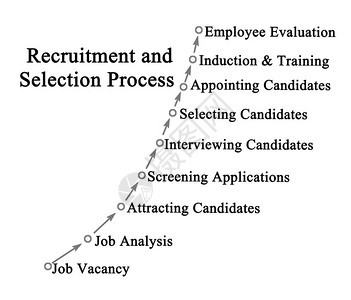 征聘和甄选过程各组成部分的招背景图片