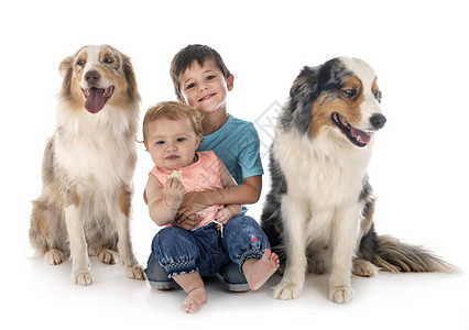 白背景字体中的孩子和狗以白图片