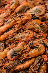 新鲜大虾晚餐海鲜图片